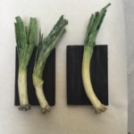 Books - Leeks