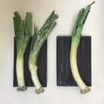 Books - Leeks 2