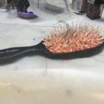 Hairbrush